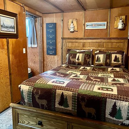 Mt Rainier Little Green Cabin On Big Creek! Ашфорд Екстериор снимка