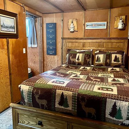 Mt Rainier Little Green Cabin On Big Creek! Villa Ашфорд Екстериор снимка