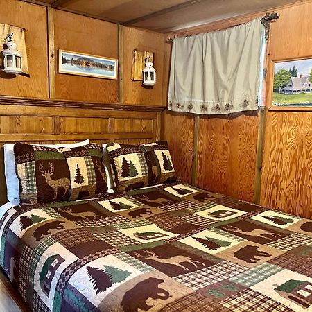 Mt Rainier Little Green Cabin On Big Creek! Ашфорд Екстериор снимка