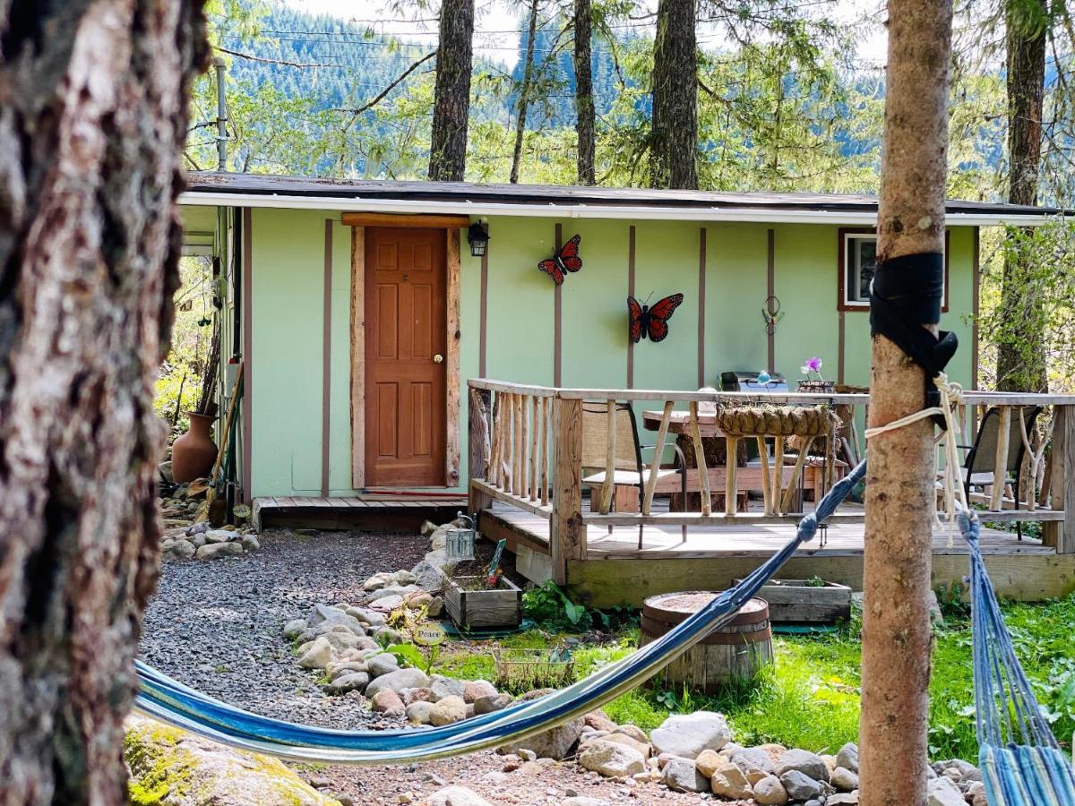 Mt Rainier Little Green Cabin On Big Creek! Ашфорд Екстериор снимка