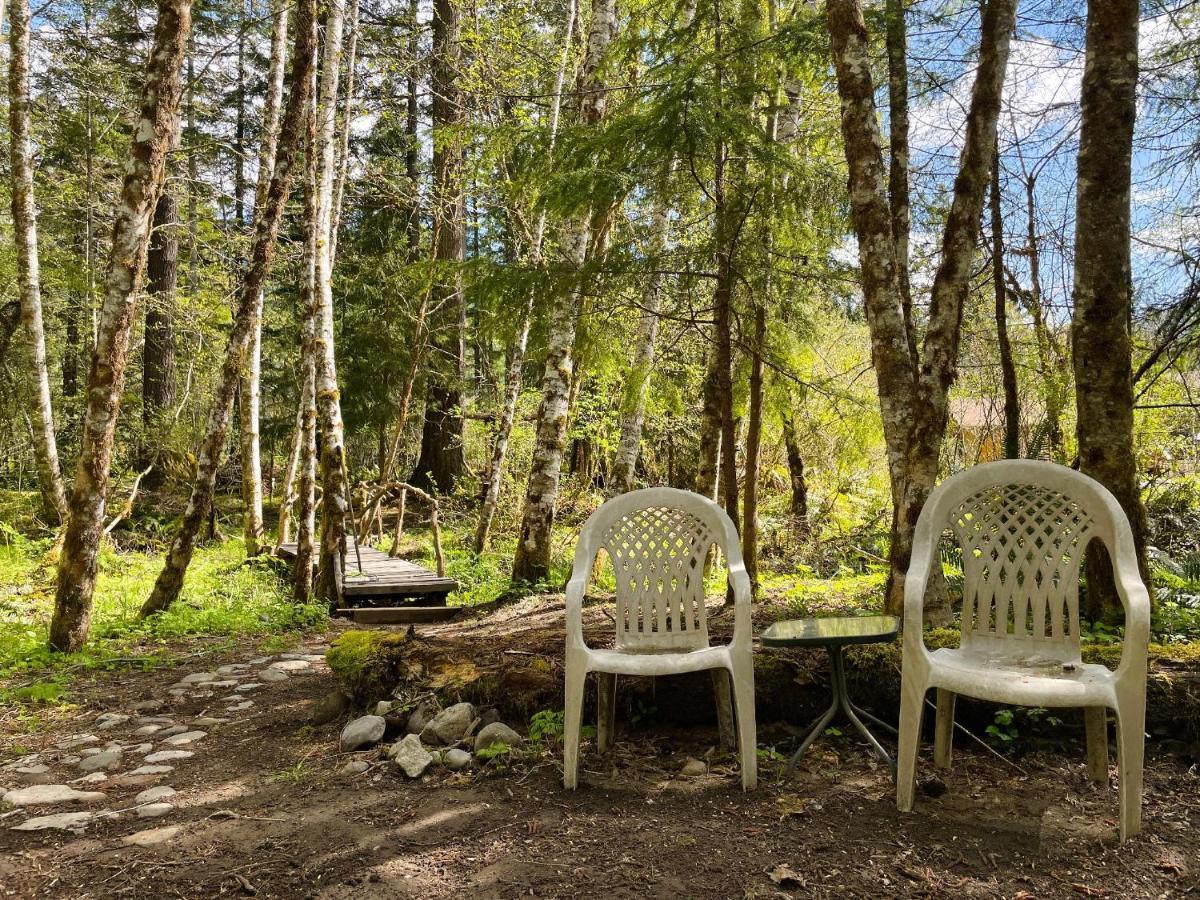 Mt Rainier Little Green Cabin On Big Creek! Ашфорд Екстериор снимка