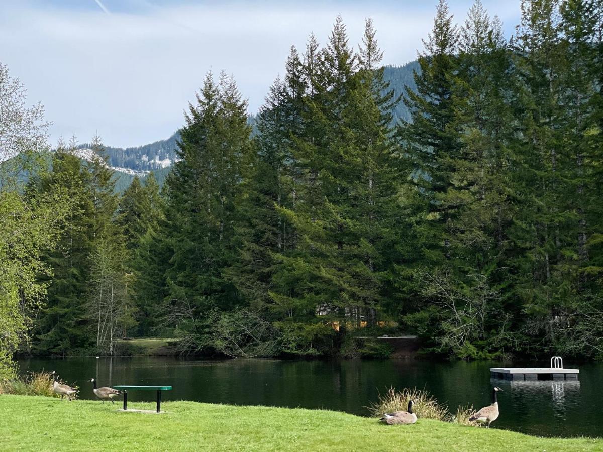 Mt Rainier Little Green Cabin On Big Creek! Ашфорд Екстериор снимка