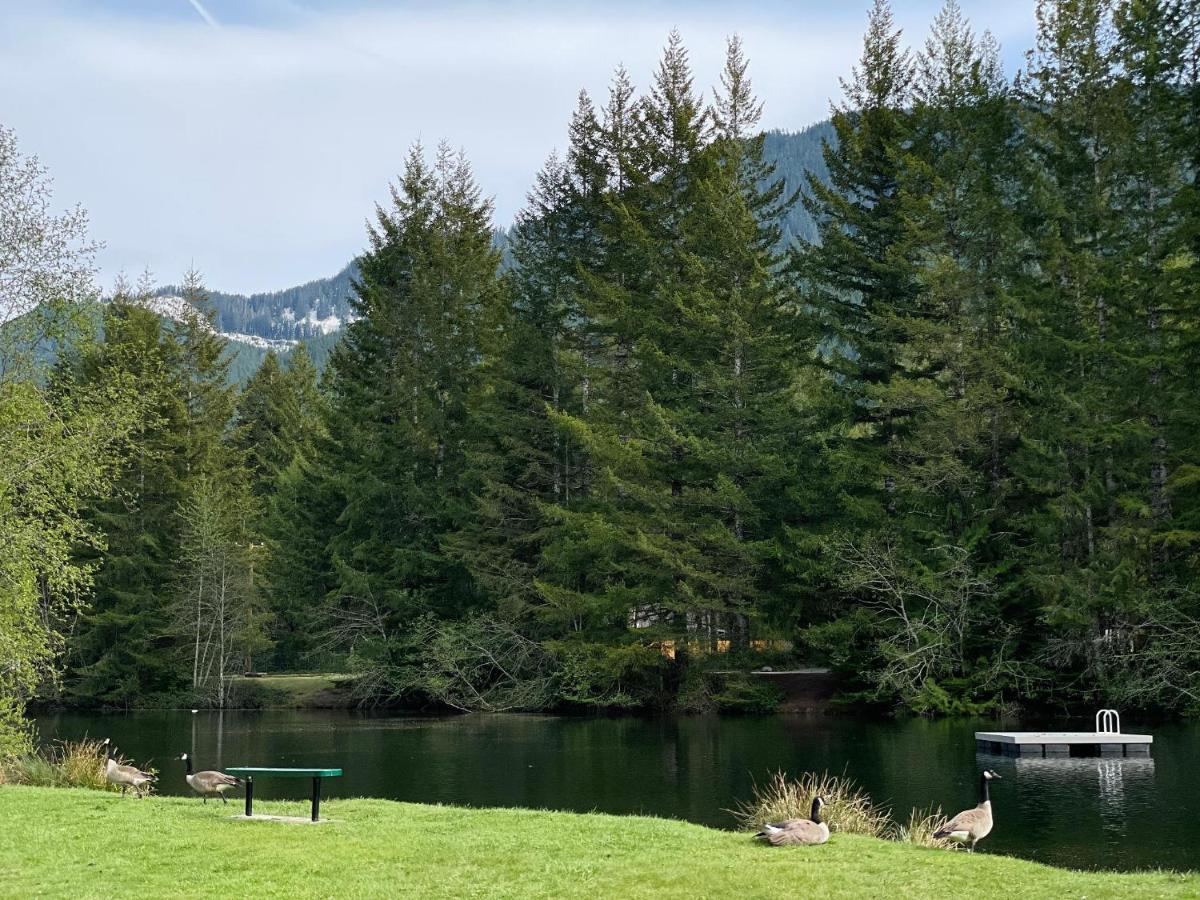 Mt Rainier Little Green Cabin On Big Creek! Villa Ашфорд Екстериор снимка