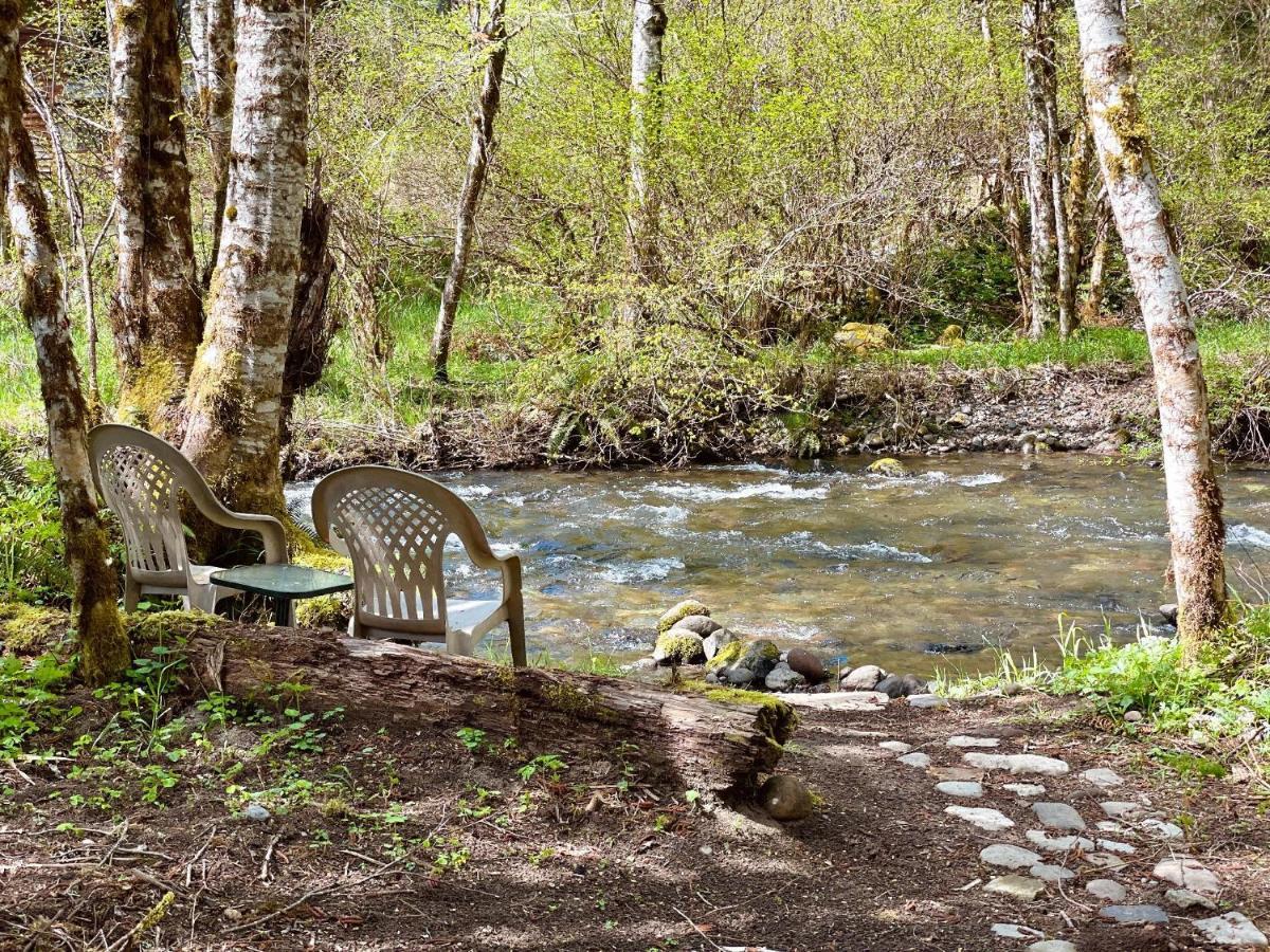 Mt Rainier Little Green Cabin On Big Creek! Ашфорд Екстериор снимка