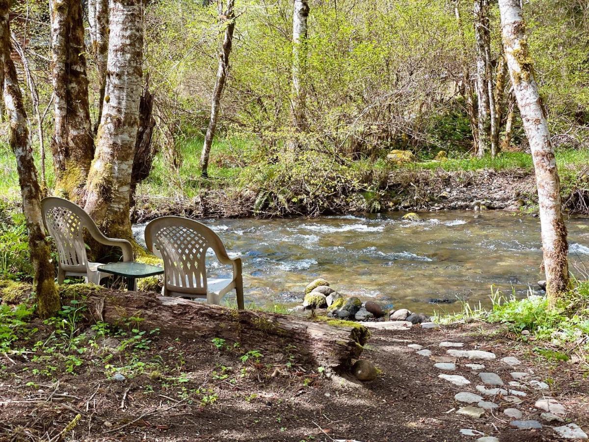 Mt Rainier Little Green Cabin On Big Creek! Villa Ашфорд Екстериор снимка