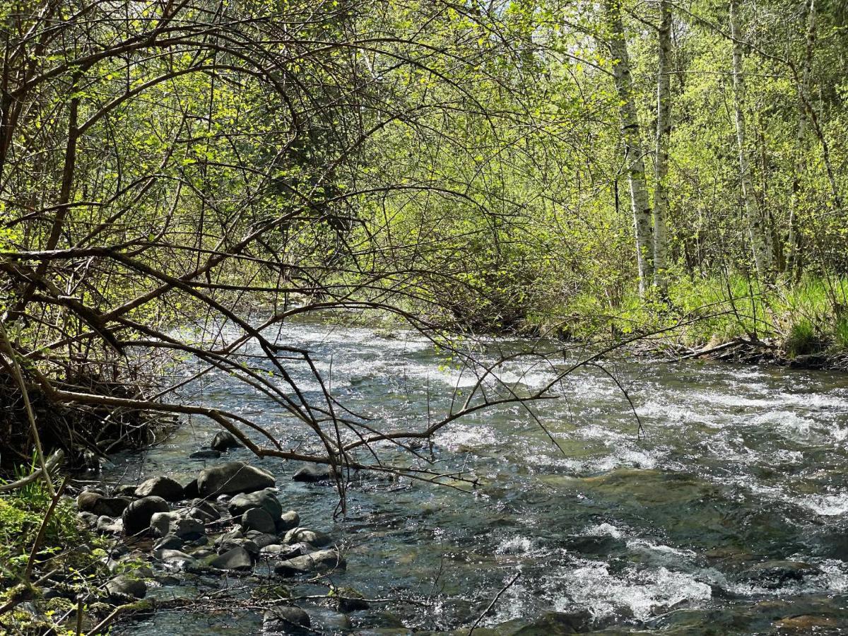 Mt Rainier Little Green Cabin On Big Creek! Ашфорд Екстериор снимка