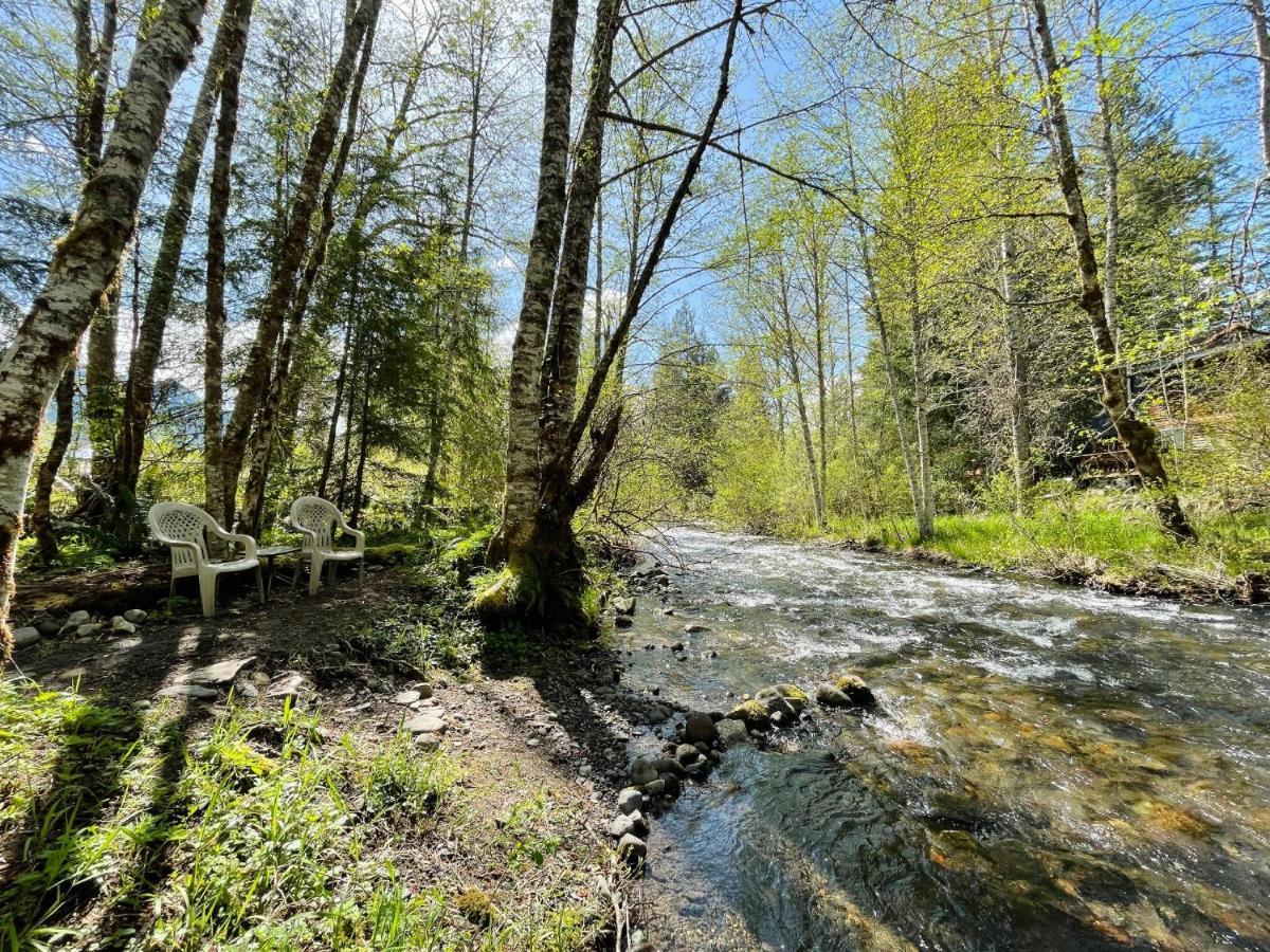 Mt Rainier Little Green Cabin On Big Creek! Ашфорд Екстериор снимка