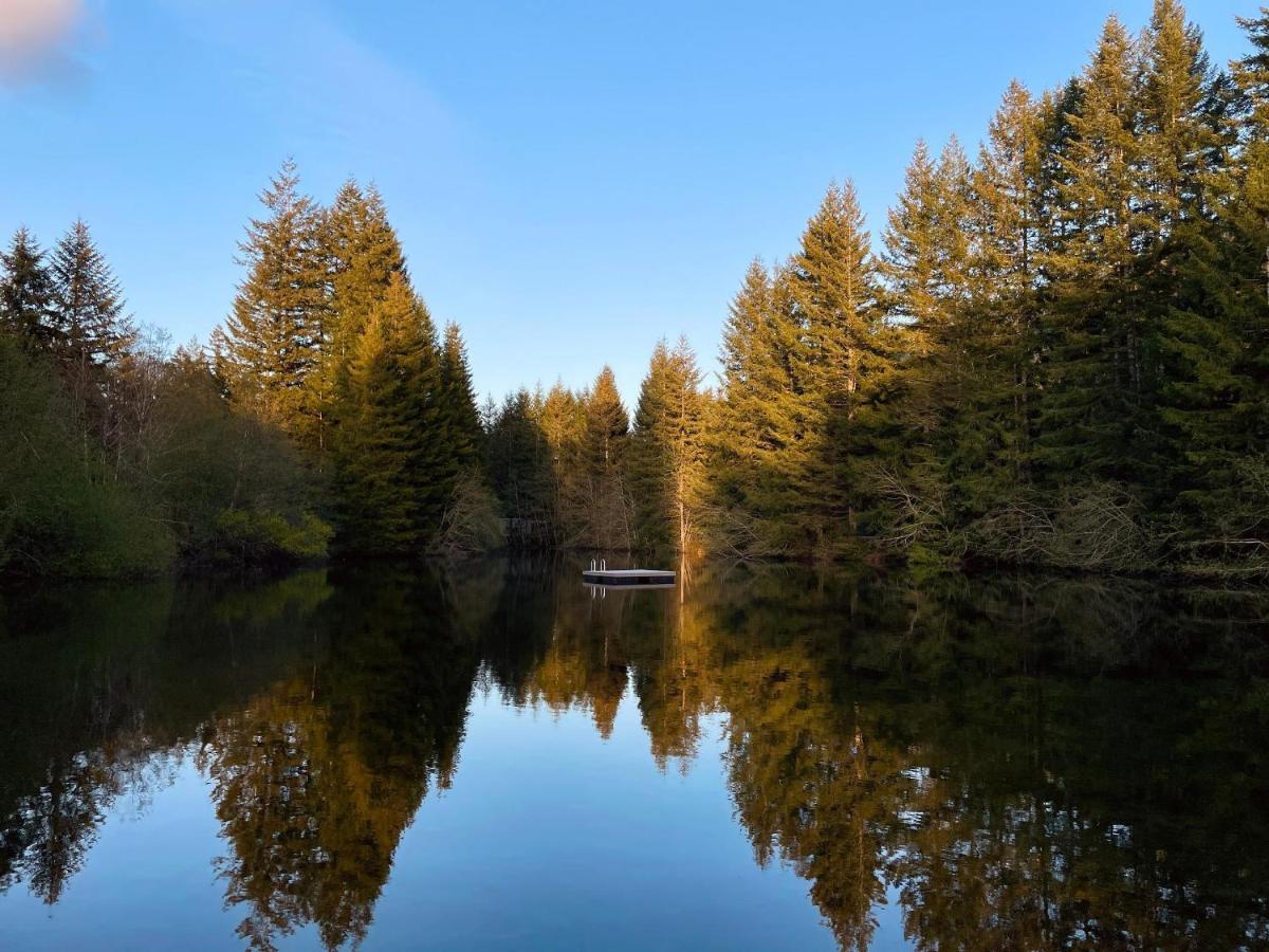 Mt Rainier Little Green Cabin On Big Creek! Ашфорд Екстериор снимка