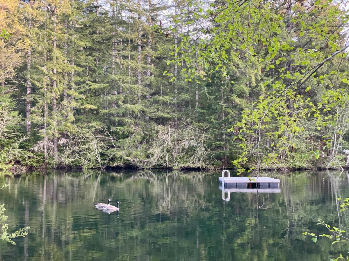 Mt Rainier Little Green Cabin On Big Creek! Ашфорд Екстериор снимка
