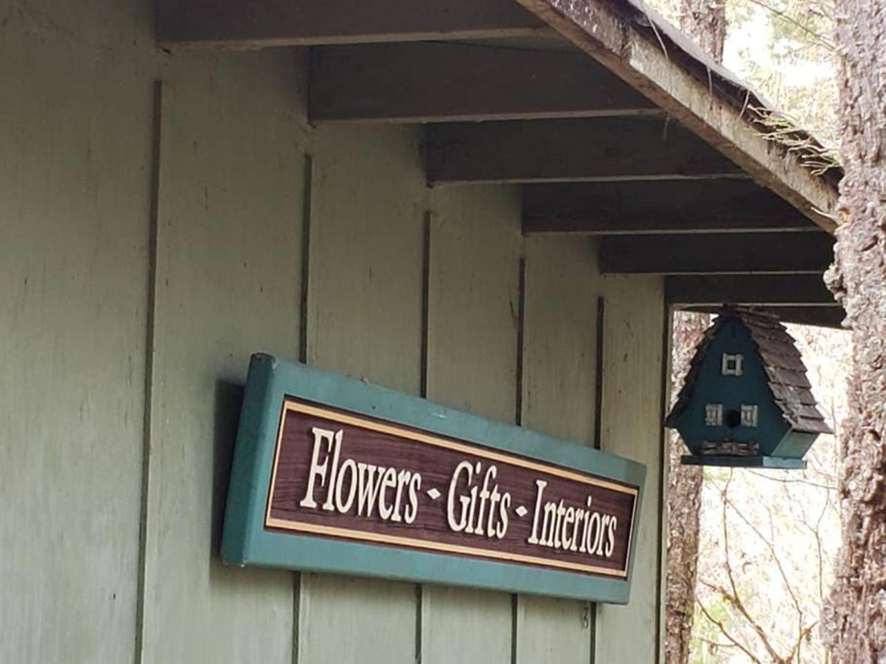 Mt Rainier Little Green Cabin On Big Creek! Ашфорд Екстериор снимка